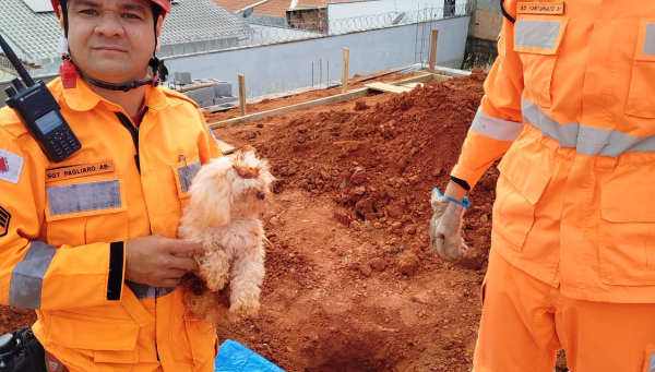 Cão é resgatado de escavação de seis metros pelo Corpo de Bombeiros em Araxá