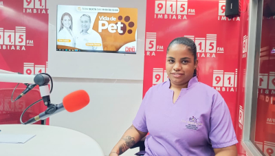 Estresse e mudanças na rotina podem elevar a pressão arterial de cães e gatos