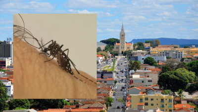 “Pão de Açúcar, Centro e João Ribeiro lideram focos do Aedes”, alerta supervisor de endemias em Araxá