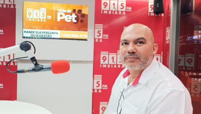 Saúde bucal dos pets vai além do mau hálito e ajuda a prevenir doenças graves