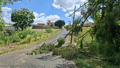 Galho de árvore fica sobre a pista e atinge fiação elétrica em rua de Araxá