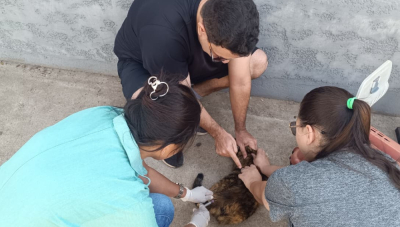 Acompanhe o cronograma de vacinação antirrábica na Zona Rural de Araxá nesta quinta (3)