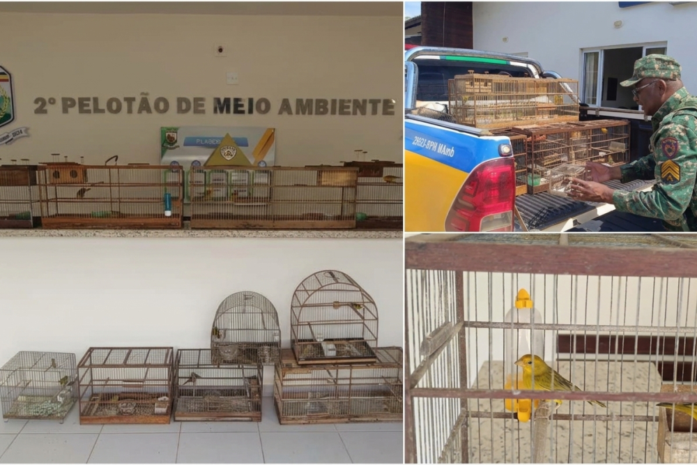 Polícia Militar de Meio Ambiente apreende 20 aves silvestres durante Operação Curupira 4 em Araxá