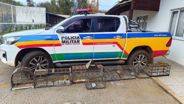 Polícia Militar de Meio Ambiente apreende 13 aves silvestres em Araxá