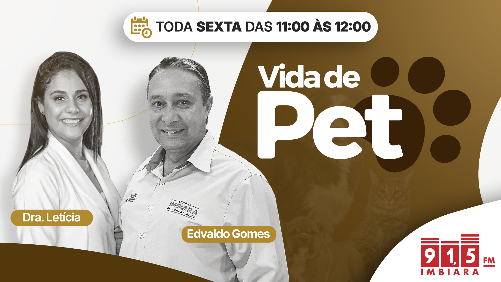 vida de pet